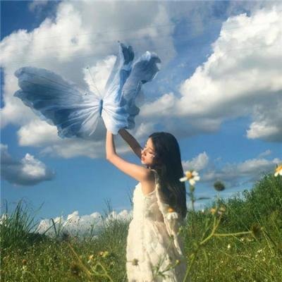 野马梅莎